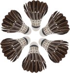 6Pcs Sports Shuttlecocks for Badminton Training Durable and Portable s for Adults for Indoor and Outdoor Family Fun