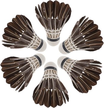 6Pcs Sports Shuttlecocks for Badminton Training Durable and Portable s for Adults for Indoor and Outdoor Family Fun